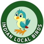 INDIAN LOCAL BIRDS